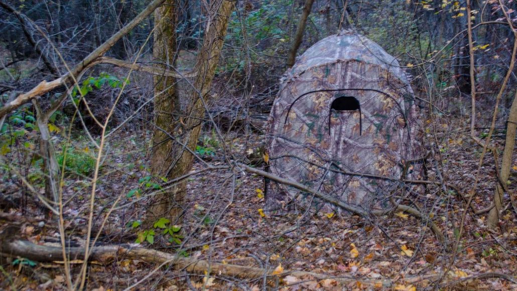 Best Ground Blind